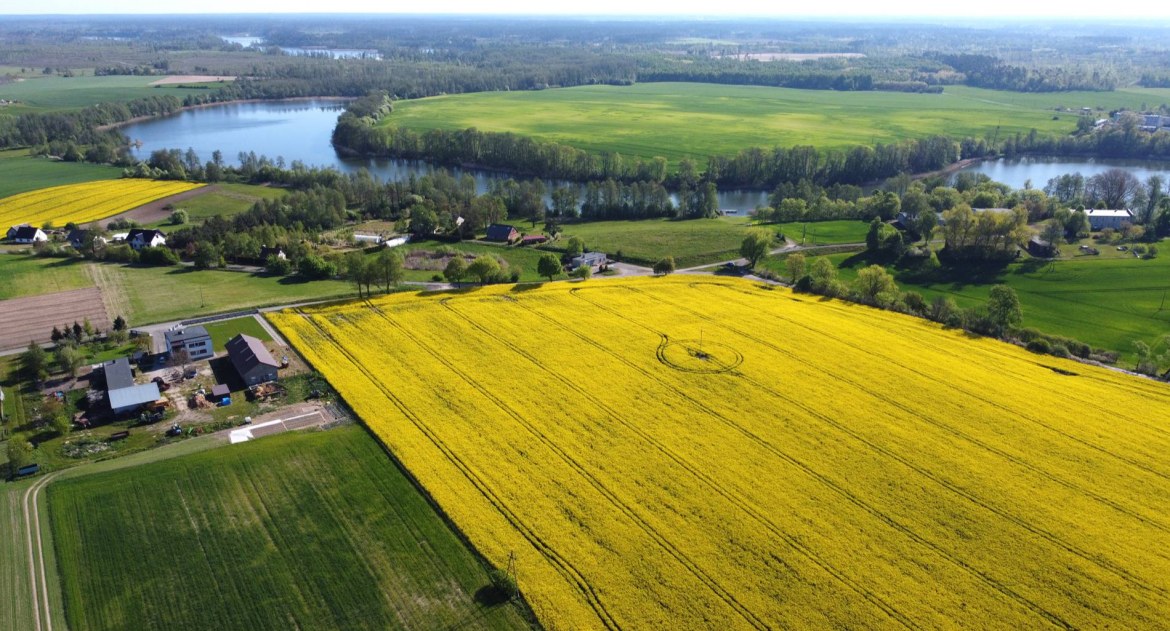 Ekologia i przyroda, Kwitną rzepaki ruszać robić zdjęcia - zdjęcie, fotografia