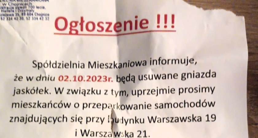 fot. nadesłane