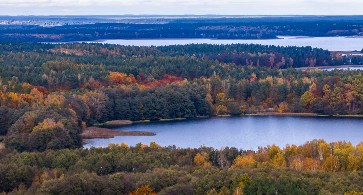 Widok na Jezioro Charzykowskie od strony miejscowości Wolność fot. Daniel Frymark