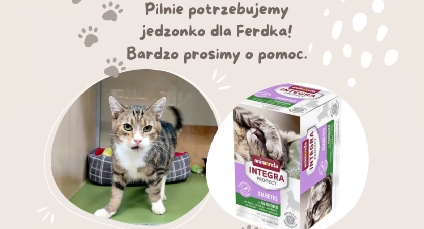 Zdjęcie Schronisko dla Zwierząt Przytulisko - fotografia