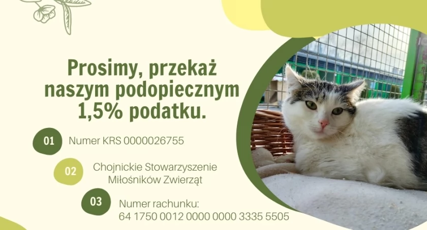 Zdjęcie Schronisko dla Zwierząt Przytulisko - fotografia