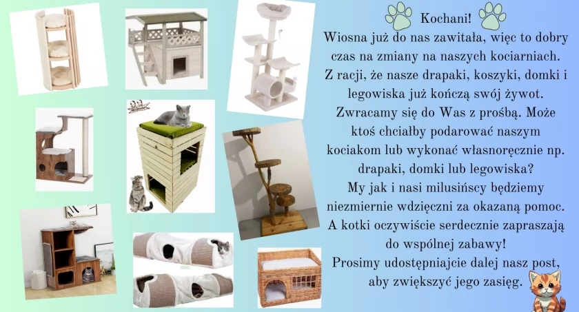 Zdjęcie Schronisko dla Zwierząt Przytulisko - fotografia