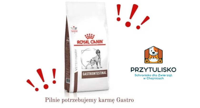 Zdjęcie Schronisko dla Zwierząt Przytulisko - fotografia
