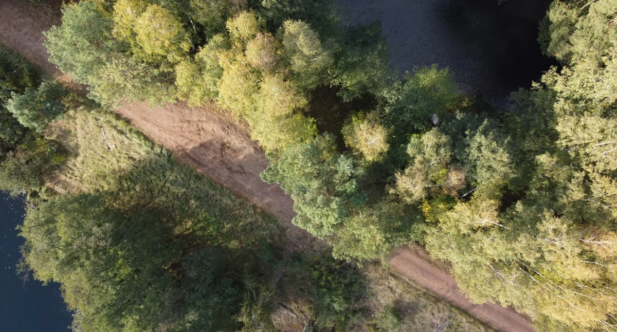 Ekologia i przyroda, Zapraszamy spacer Zaborskim Parku Krajobrazowym okazji Parków Krajobrazowych - zdjęcie, fotografia