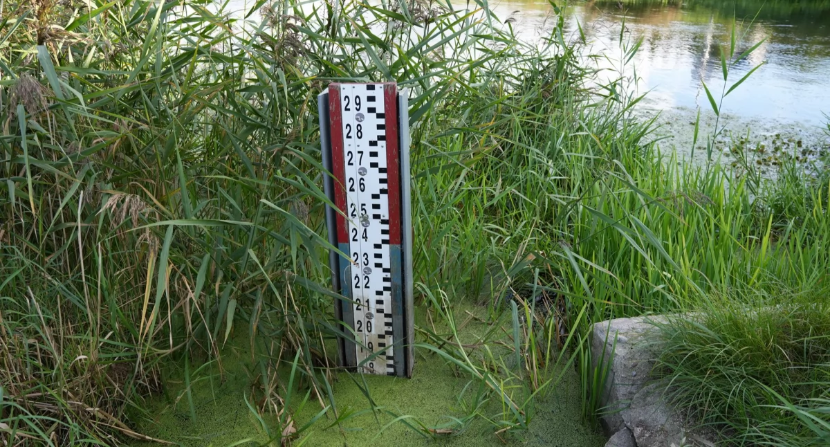 fot. Marcin Wróblewski