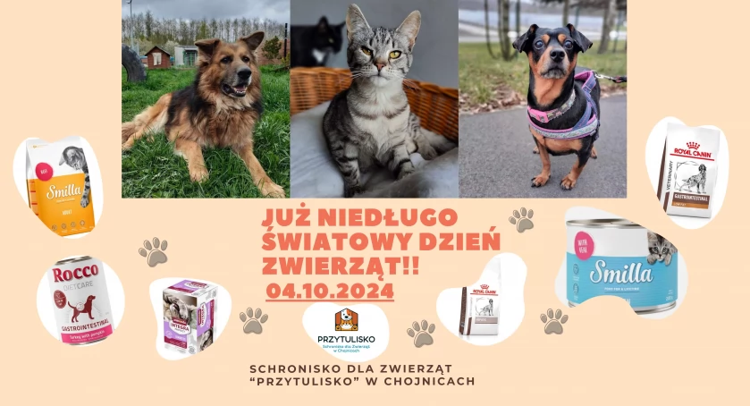 Zdjęcie Schronisko dla Zwierząt Przytulisko - fotografia