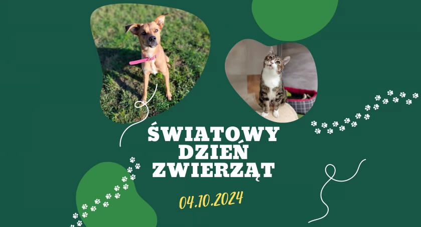 Zdjęcie Schronisko dla Zwierząt Przytulisko - fotografia