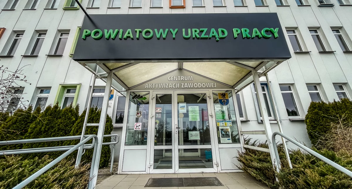 Rynek pracy, Oferty pracy Chojnicach okolicach kucharz monter spawacz więcej - zdjęcie, fotografia