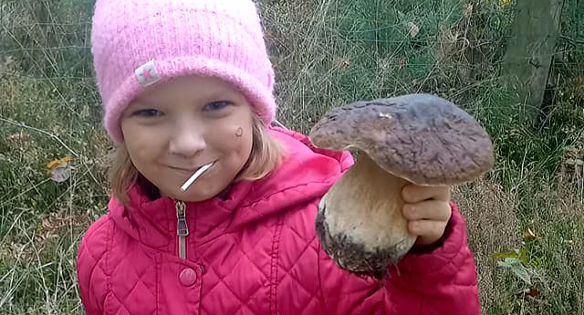 Ekologia i przyroda, Czytelnicy znaleźli ostatnio lesie Pogoda grzybiarzy - zdjęcie, fotografia