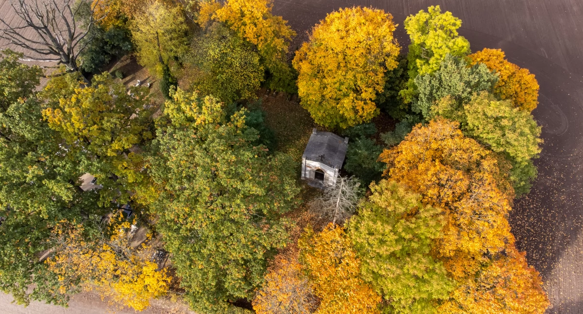 Pogoda w regionie, Wszystkich Świętych znakiem wiatru chmur Pogoda Chojnicach - zdjęcie, fotografia