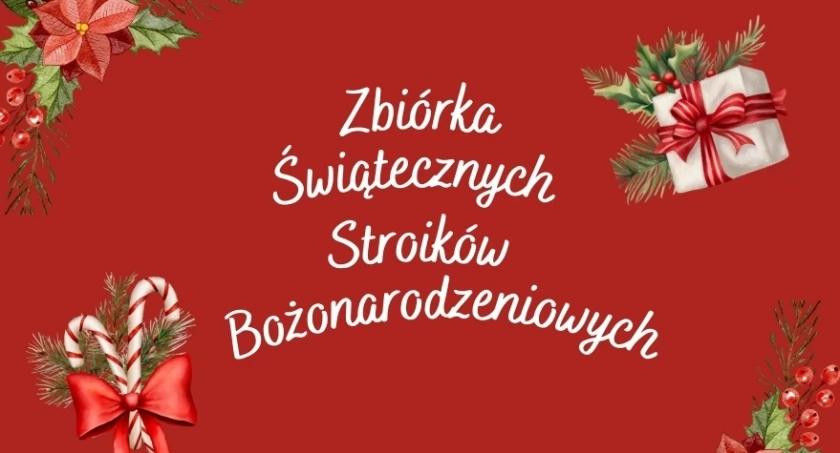 Zdjęcie Schronisko dla Zwierząt Przytulisko - fotografia