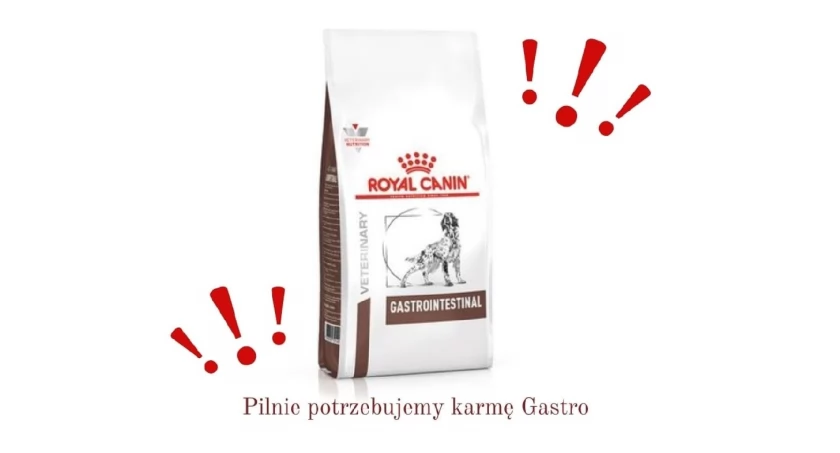 Zdjęcie Schronisko dla Zwierząt Przytulisko - fotografia