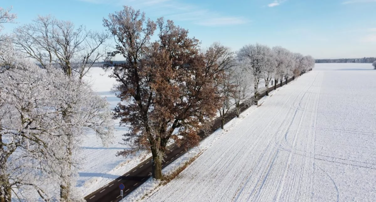 Pogoda w regionie, Wieje wieje przywieje wydał ostrzeżenie powiatu chojnickiego - zdjęcie, fotografia
