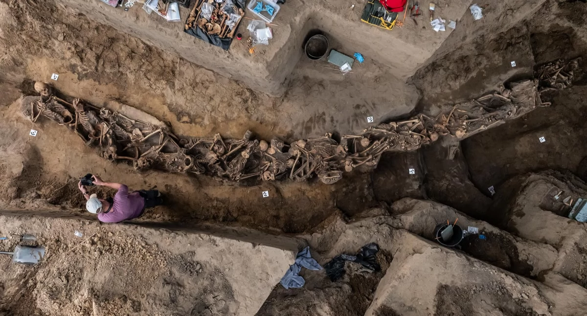 Wydarzenia publiczne, Daniel Frymark Czasu Chojnic zwycięzcą Archeologicznych Sensacji - zdjęcie, fotografia