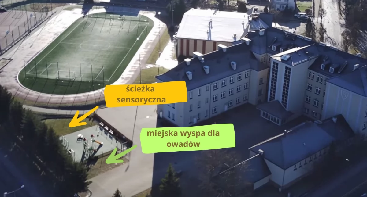 Edukacja, Chojnicach otrzymała grant Ekoprojekt Miejska Wyspa Owadów - zdjęcie, fotografia