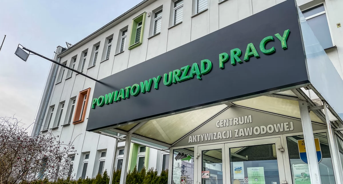 Rynek pracy, Oferty pracy Chojnicach Człuchowie aktualne propozycje zatrudnienia - zdjęcie, fotografia