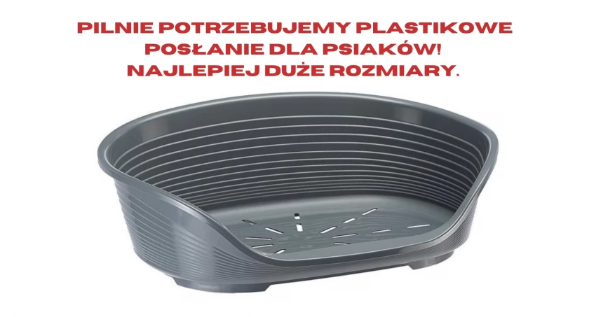 Zdjęcie Schronisko dla Zwierząt Przytulisko - fotografia