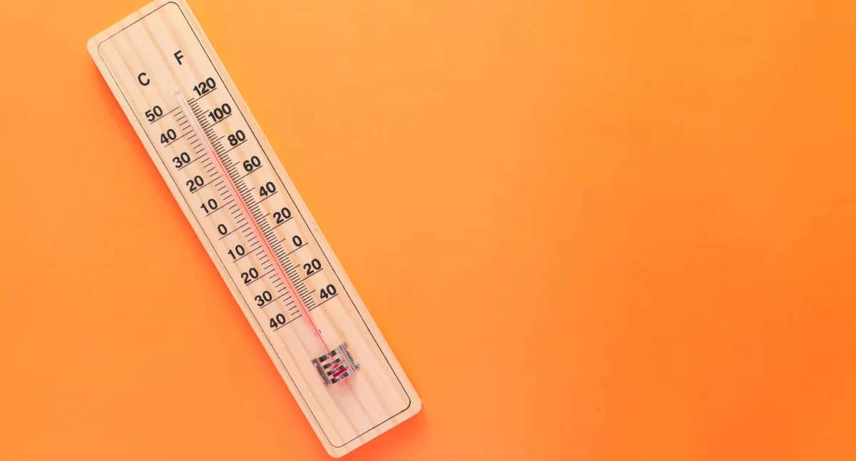 Pogoda w regionie, Przymroziło! stopni spadła temperatura Chojnicach - zdjęcie, fotografia