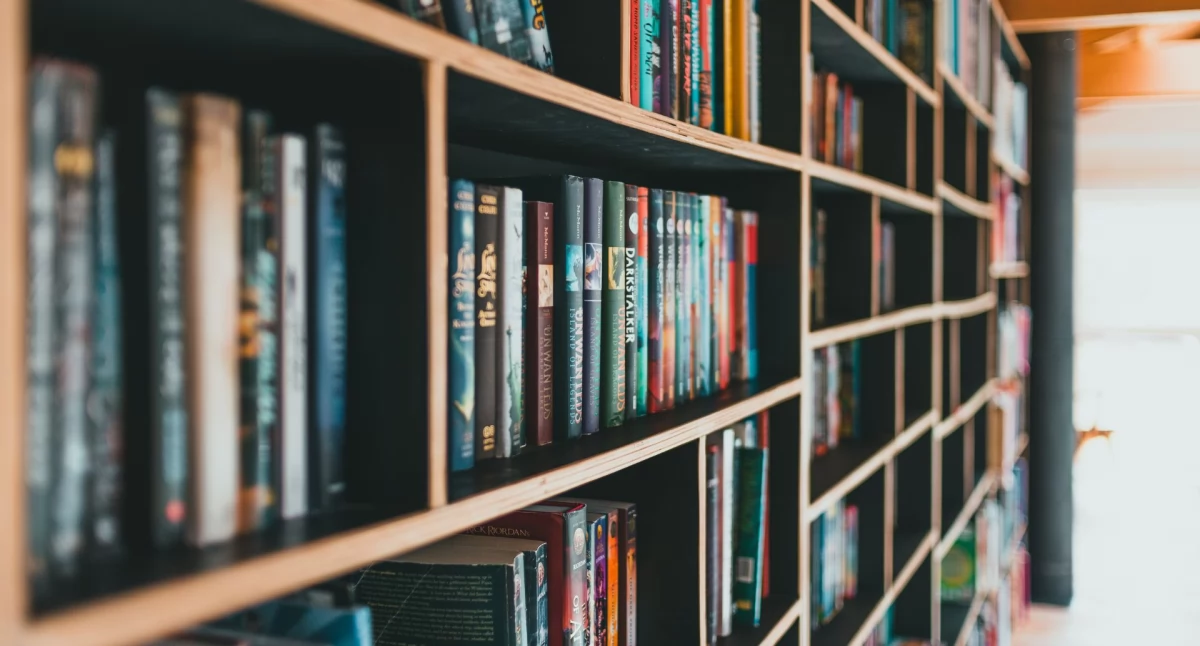 Wydatki publiczne, Mieszkańcy Chojnic bronią osiedlowej biblioteki Burmistrz zapowiada program naprawczy - zdjęcie, fotografia