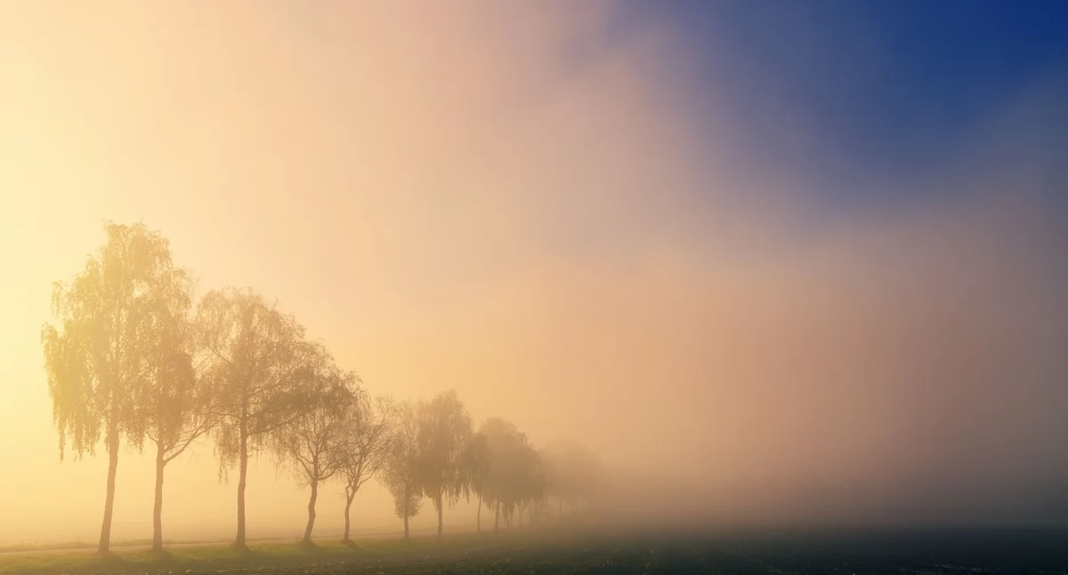 Pogoda w regionie, Miało zimniej właśnie Chojnice ogólnopolskim rekordem - zdjęcie, fotografia