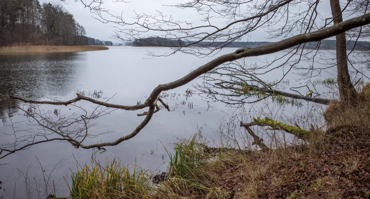 Pogoda w regionie, ostrzega przymrozki powiecie chojnickim - zdjęcie, fotografia