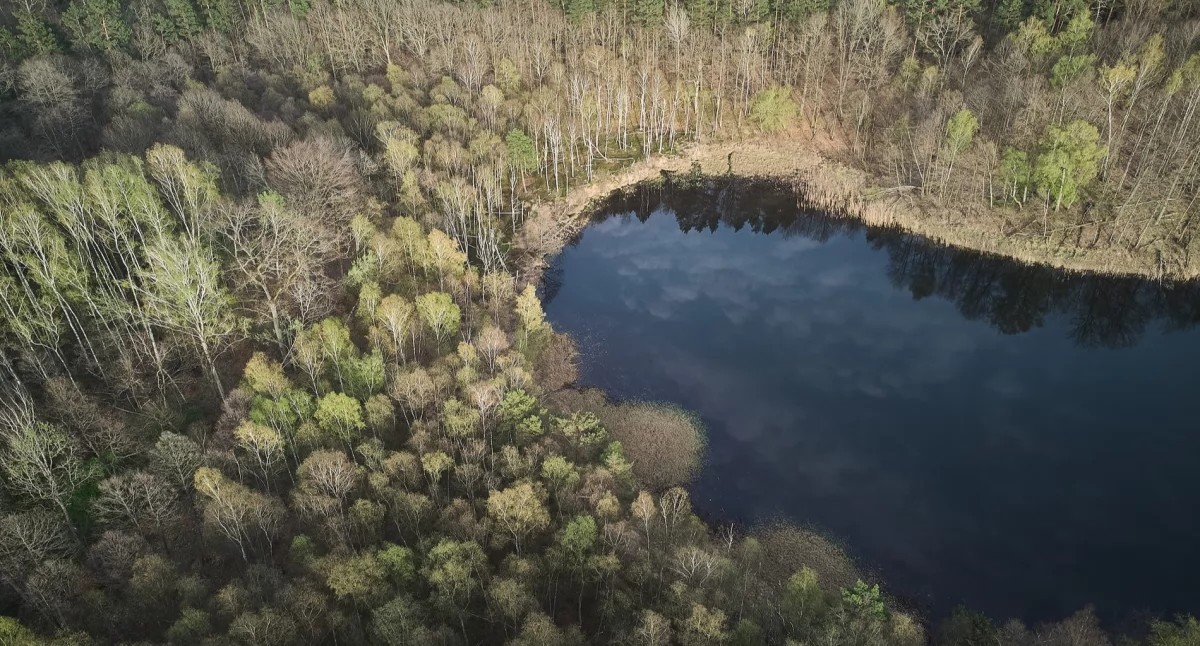 Pogoda w regionie, Pogoda weekend Marzec będzie sprzyjał spacerom Borach - zdjęcie, fotografia