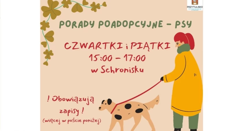 Zdjęcie Schronisko dla Zwierząt Przytulisko - fotografia