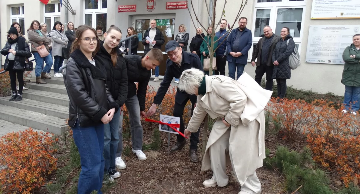 Edukacja, Magnolia jubileusz Szkoła Podstawowa Chojnicach rozpoczęła obchody lecia - zdjęcie, fotografia