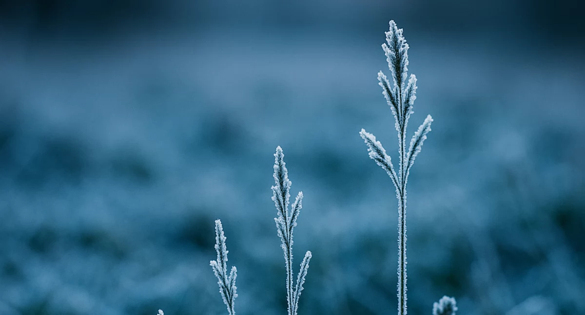 Pogoda w regionie, Przymrozki zimna Zośka powiecie chojnickim Nadchodzi arktyczne powietrze - zdjęcie, fotografia