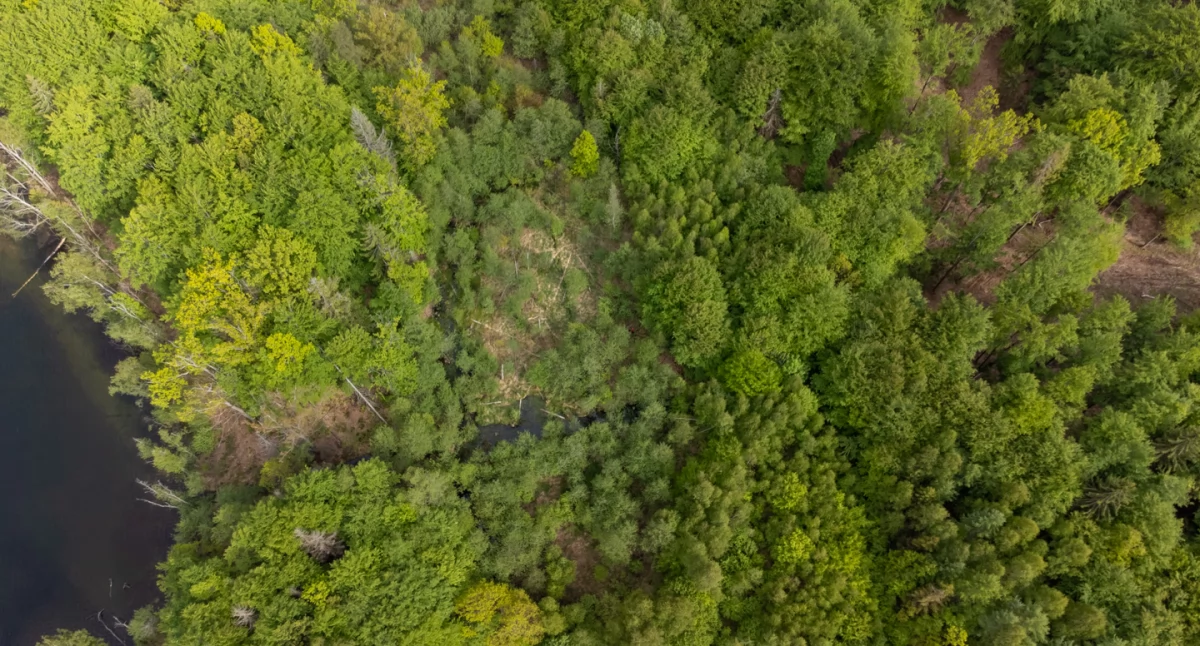 Turystyka, pełen smaków zapisy Ekoturystyczny ruszyły! - zdjęcie, fotografia