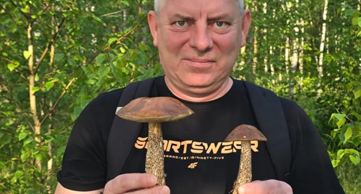 Ekologia i przyroda, Deszcze przyniosły pierwsze grzyby! Kurki koźlaki kanie prawdziwki lasach koło Chojnic - zdjęcie, fotografia