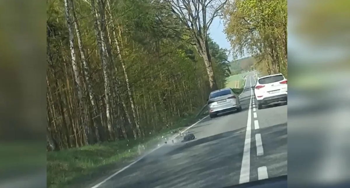 Sąd i Prokuratura, Pamiętacie pościg złodziejami Sprawcy siedzą areszcie - zdjęcie, fotografia