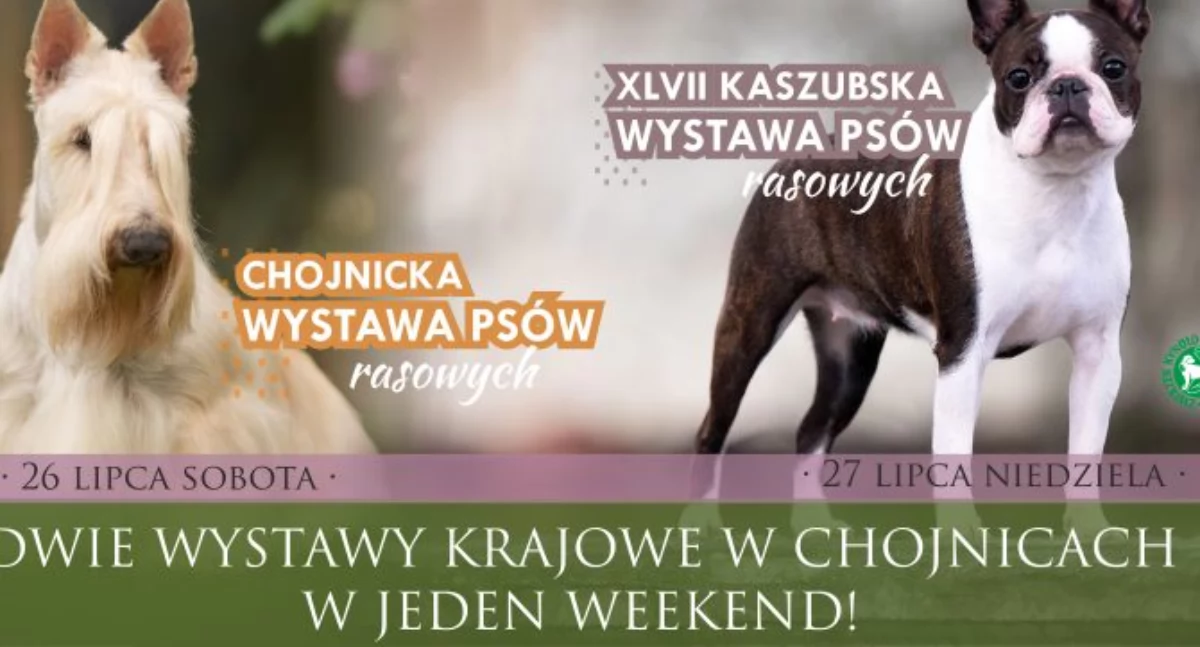 Informacje z Urzędu Miejskiego w Chojnicach, Chojnice czterech łapach! Weekendowa wystawa psich piękności Parku lecia - zdjęcie, fotografia
