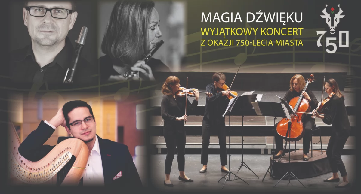 Muzyka, Magia dźwięku Chojnicach Koncert lecie miasta - zdjęcie, fotografia