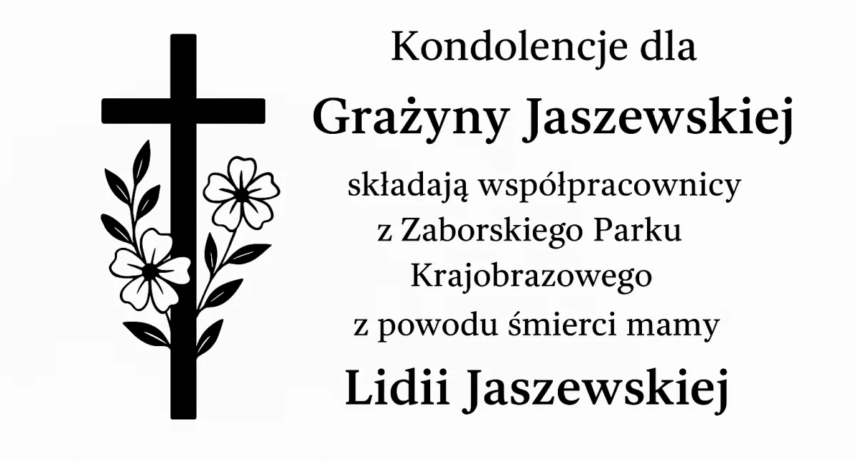 Odeszli od nas, Wyrazy współczucia stracie bliskiej osoby - zdjęcie, fotografia