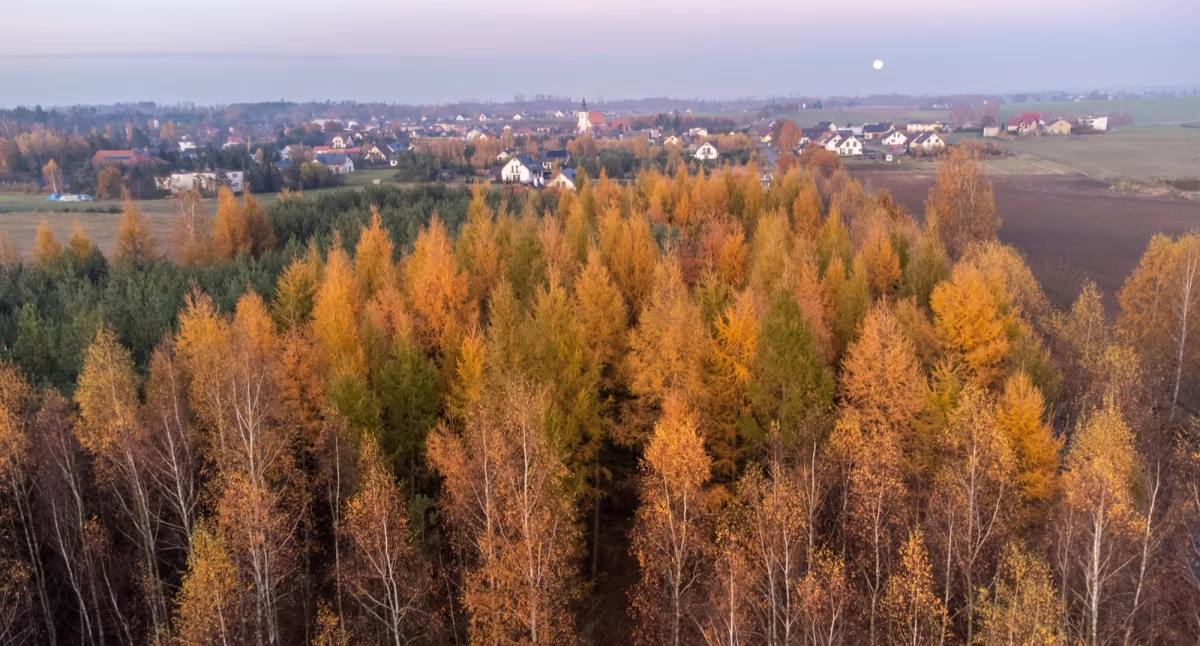 Wydarzenia publiczne, dziś wielki koncert charytatywny Nowej Cerkwi Strażacy zapraszają - zdjęcie, fotografia