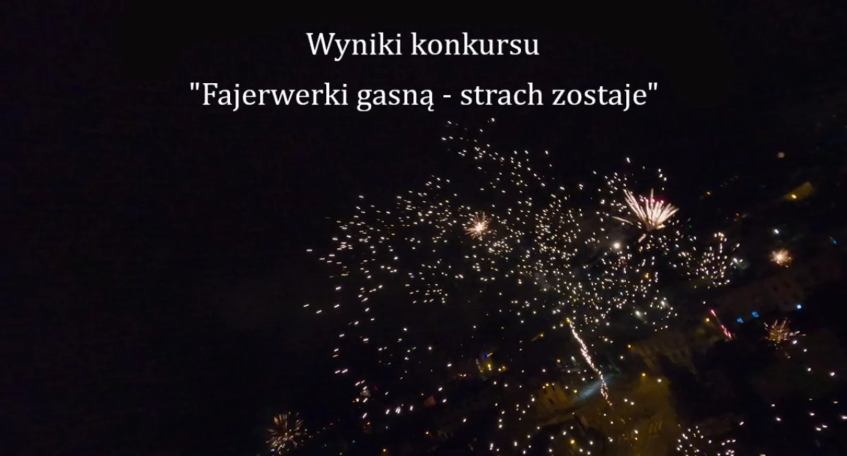 Wydarzenia publiczne, Mielewczyk Górnowicz Kleinschmidt nagrodami konkursie „Fajerwerki gasną strach zostaje” - zdjęcie, fotografia