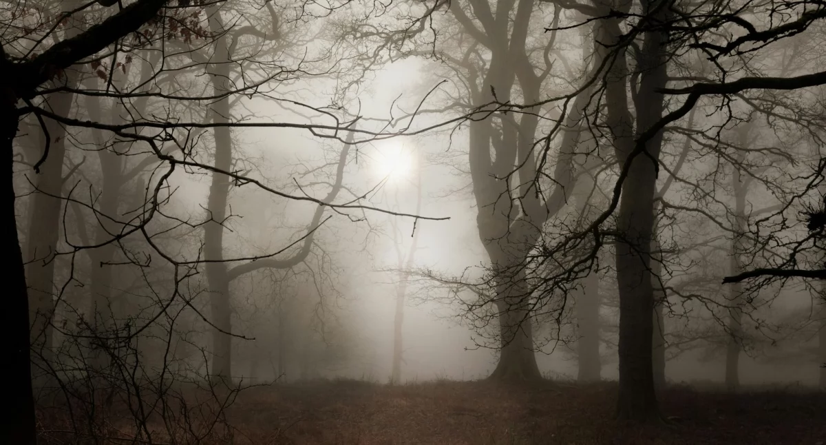 Pogoda w regionie, wydał ostrzeżenie przed gęstą mgłą powiatu chojnickiego - zdjęcie, fotografia
