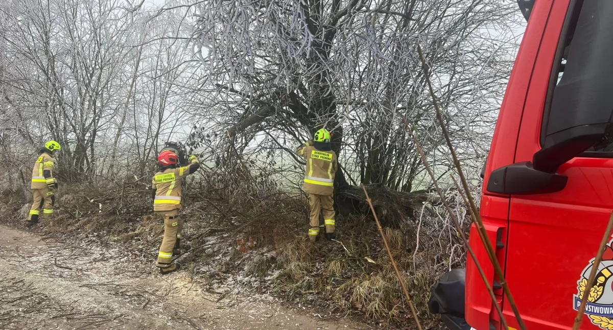 Straż pożarna, Oberwane konary utrudniały przejazd kilku miejscowościach Strażacy interweniowali - zdjęcie, fotografia