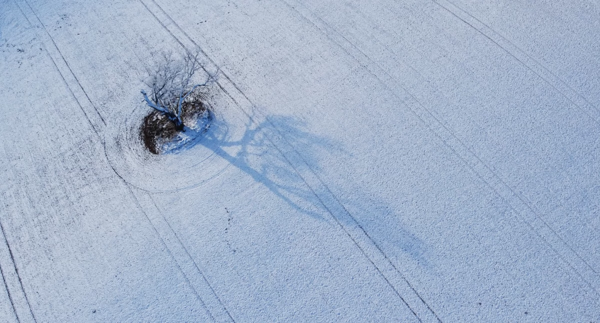 Na razie taki widok jak na zdjęciu (pole pod Jarcewem) jest poza naszym zasięgiem.