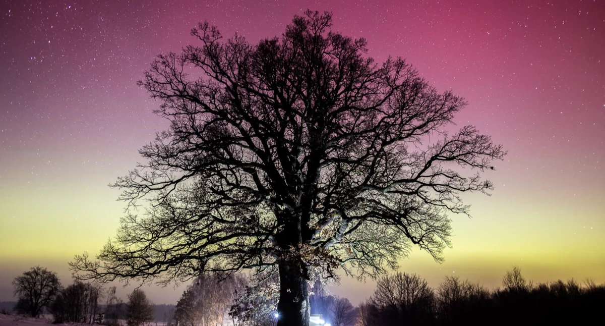 fot. Daniel Frymark