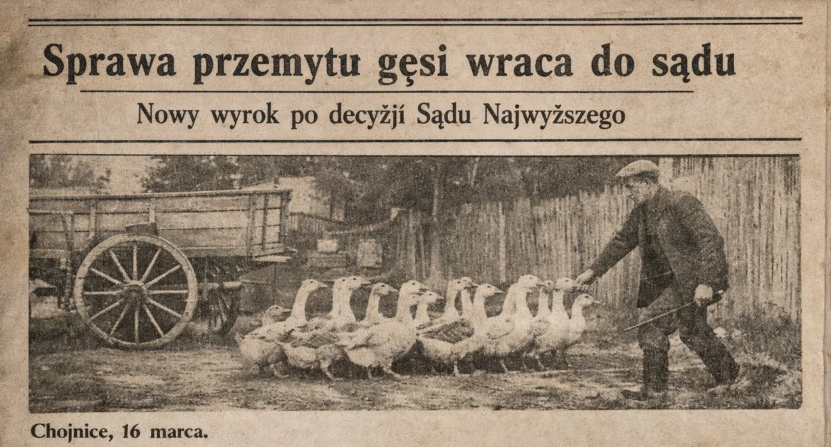fot. ilustracyjne