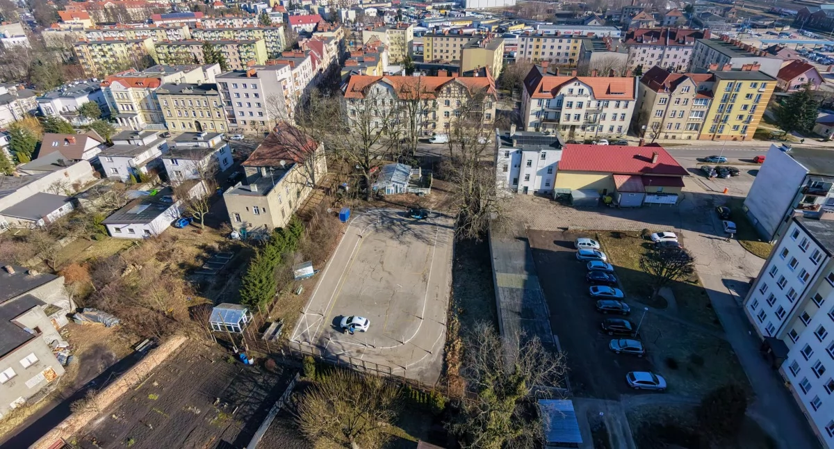 Ekologia i przyroda, Pomnik przyrody własność prywatna Komisja wstrzymuje decyzją - zdjęcie, fotografia