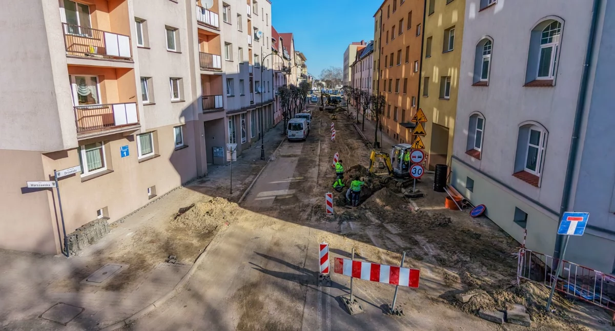 Inwestycje i remonty, Spór drzewa Drzymały Radni pytają zabezpieczenia - zdjęcie, fotografia