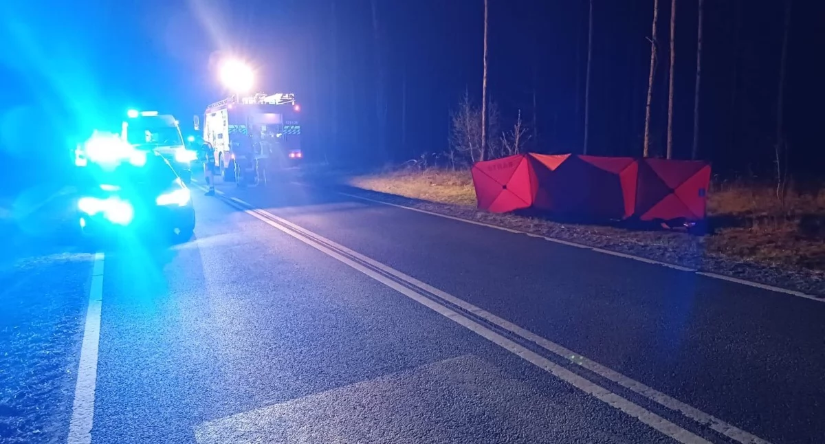Wypadek, Śmiertelny wypadek żyje letnia motocyklistka - zdjęcie, fotografia