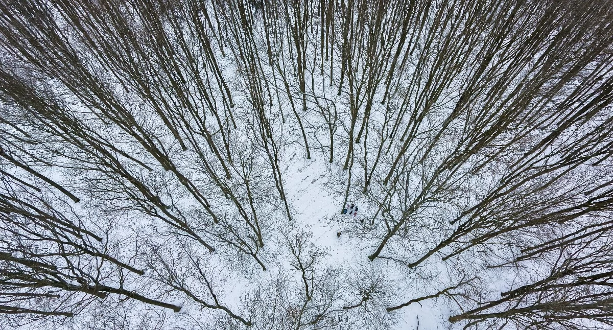 Ekologia i przyroda, Papier przyroda Zrób sercu Borów Tucholskich - zdjęcie, fotografia