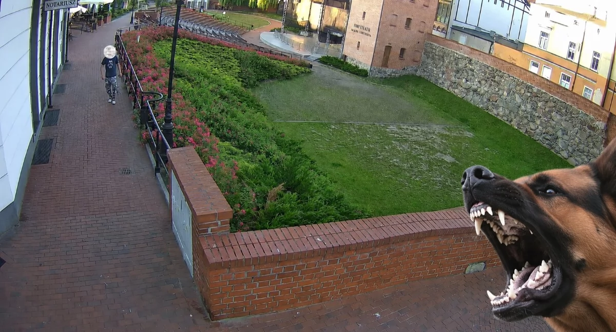 fotomontaż