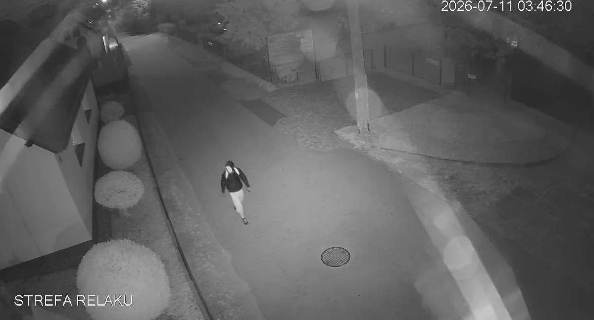 Kronika policyjna, Kradzież samochodowych lusterek Swornegaciach Zamaskowany sprawca nagraniu - zdjęcie, fotografia