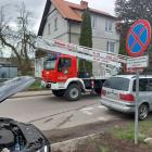 Fotka nr 3 z 7