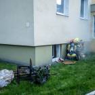 Fotka nr 4 z 12